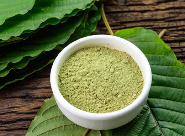obrázek kratomu